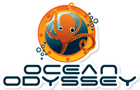 2005